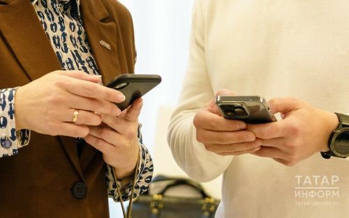 В Госдуме анонсировали разработку двух новых законов против мошенничества