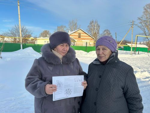 Советы в буклетах: как жить без страха
