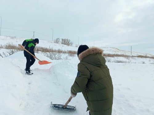 Волонтёры дарят тепло, расчищая дворы