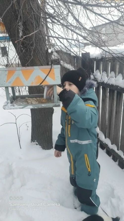Кормушки добра