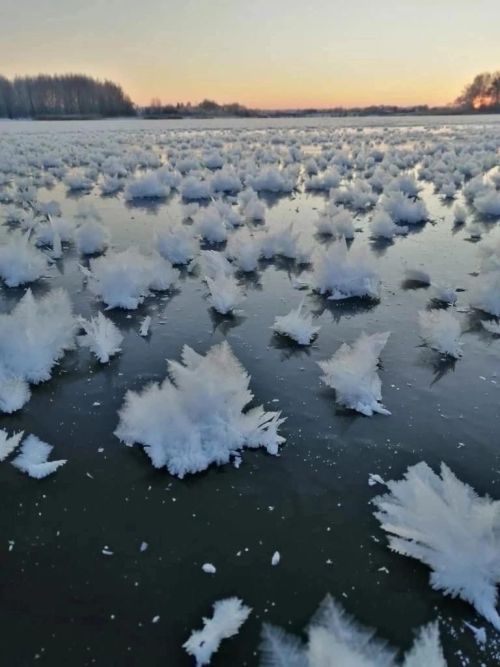 Январь проверяет нашу готовность к морозам