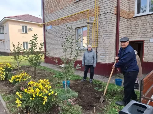 Двор становится уютнее