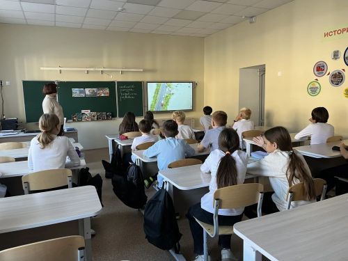Баланс на грани: экологический урок о хрупкости нашего общего дома
