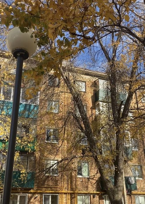 Тихое утро и большие надежды