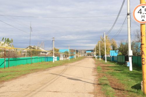 Живут, творят и побеждают