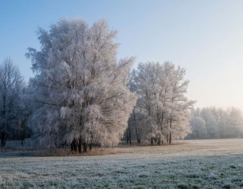 Никита-затворник: приметы на 13 февраля