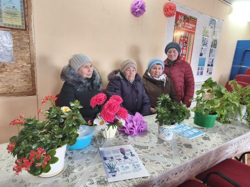Секреты зелёного подоконника