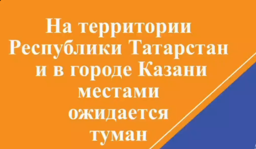 МЧС предупреждает водителей о тумане на дорогах