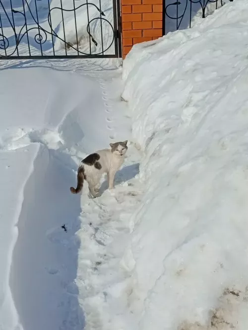 Доброе утро, дорогие читатели!