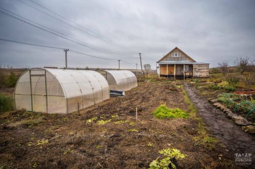 Весенние работы в саду и огороде: советы для дачников и садоводов