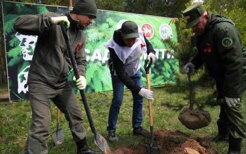 В Татарстане стартовал лесокультурный сезон 2026 года