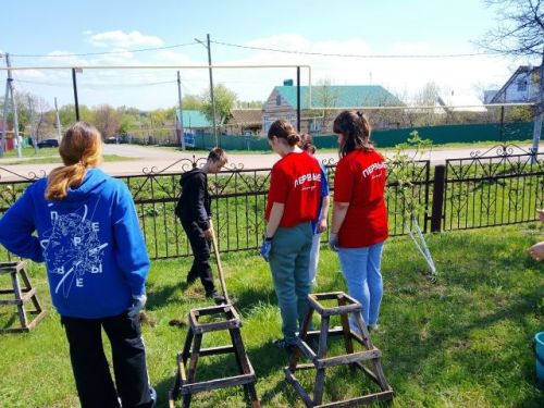 Сад Победы в память о героях СВО