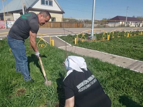 «Сад памяти»: живой памятник поколениям