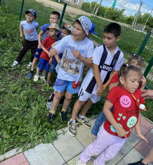 Лето зовёт гулять