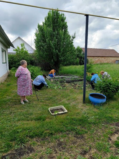 Забота там, где нужна поддержка: волонтёры культуры в действии