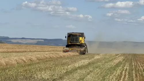 Трудовой подвиг на полях