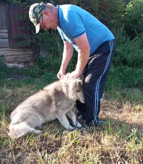 С заботой о здоровье животных — к благополучию района