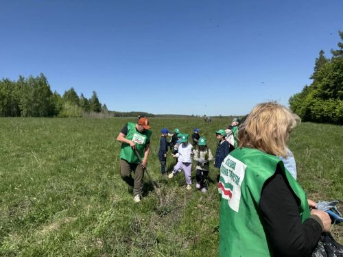 Ютазы урманнары төбәкнең яшел калканы булып хезмәт итә