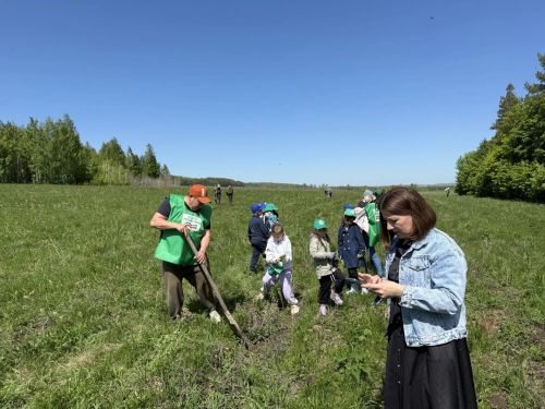 Ютазы урманнары төбәкнең яшел калканы булып хезмәт итә