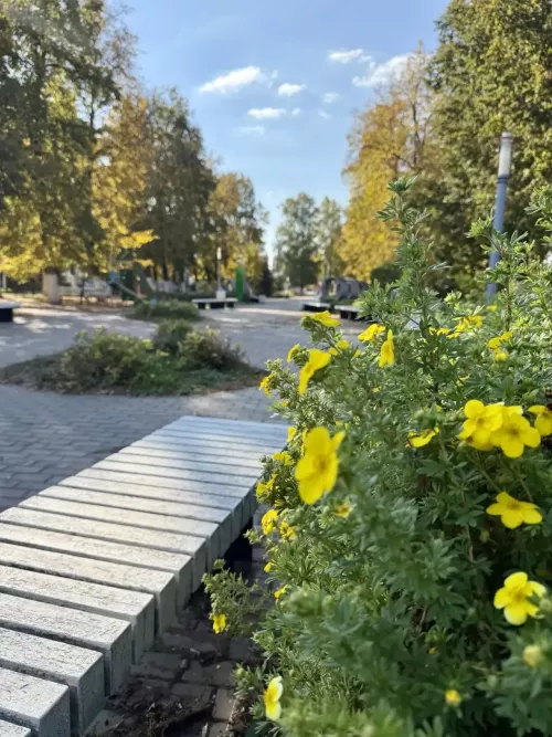 Ловим утреннее вдохновение