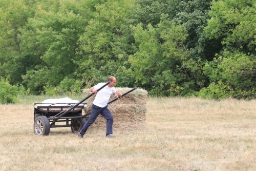 На ютазинской земле встретились «прошлое» и «настоящее»