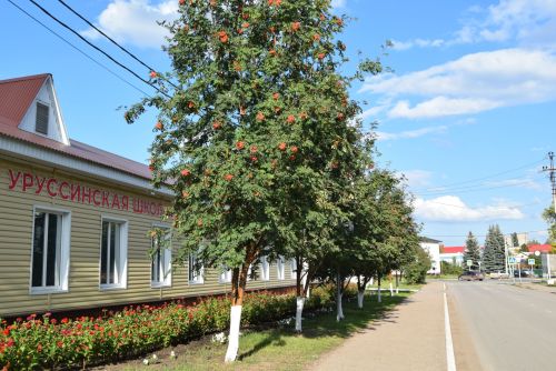 Осенний Уруссу - 2023