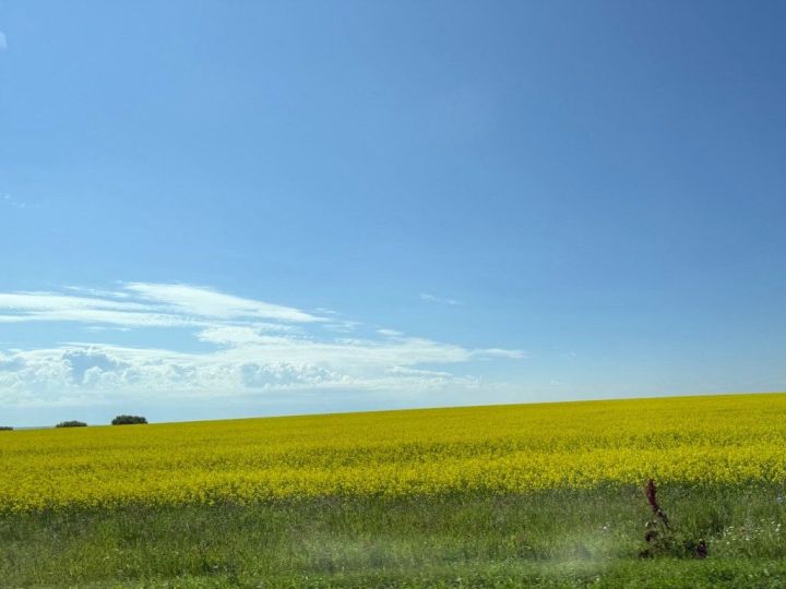 Доброе воскресное утро, уважаемые земляки!