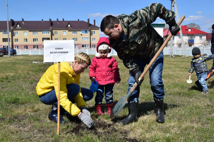 Медики Ютазинского района - на акции «Посади дерево»