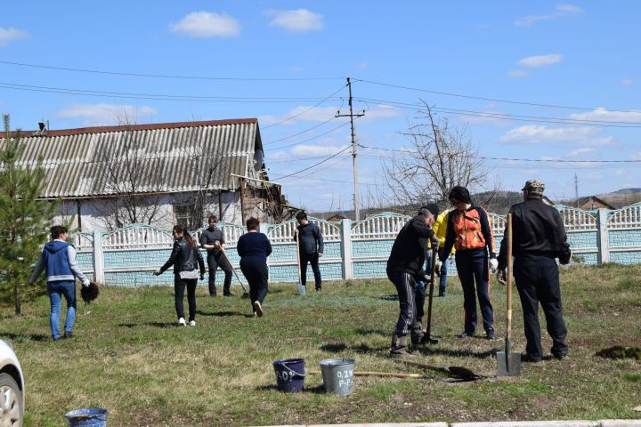 Медики Ютазинского района - на акции «Посади дерево»