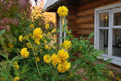Росреестр Татарстана: Новое в законодательстве для садоводов-огородников