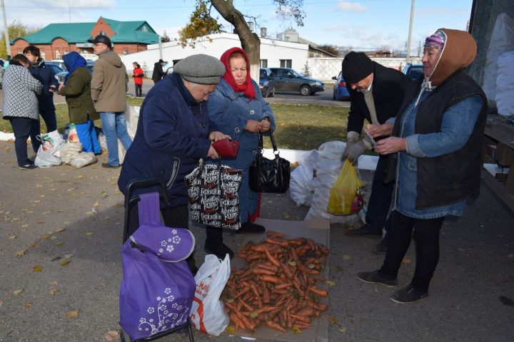 Сельскохозяйственные ярмарки продолжаются