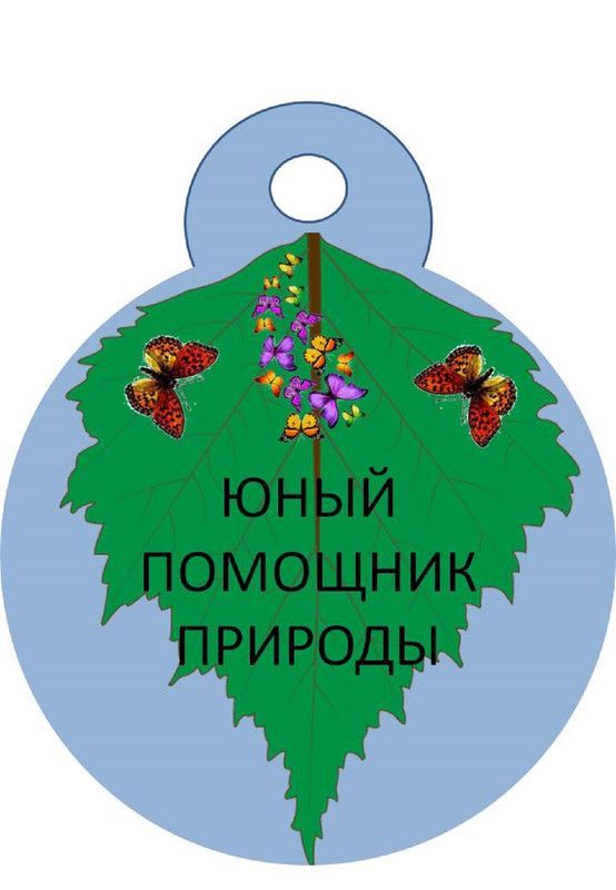 В Татарстане работает 40 школьных лесничеств