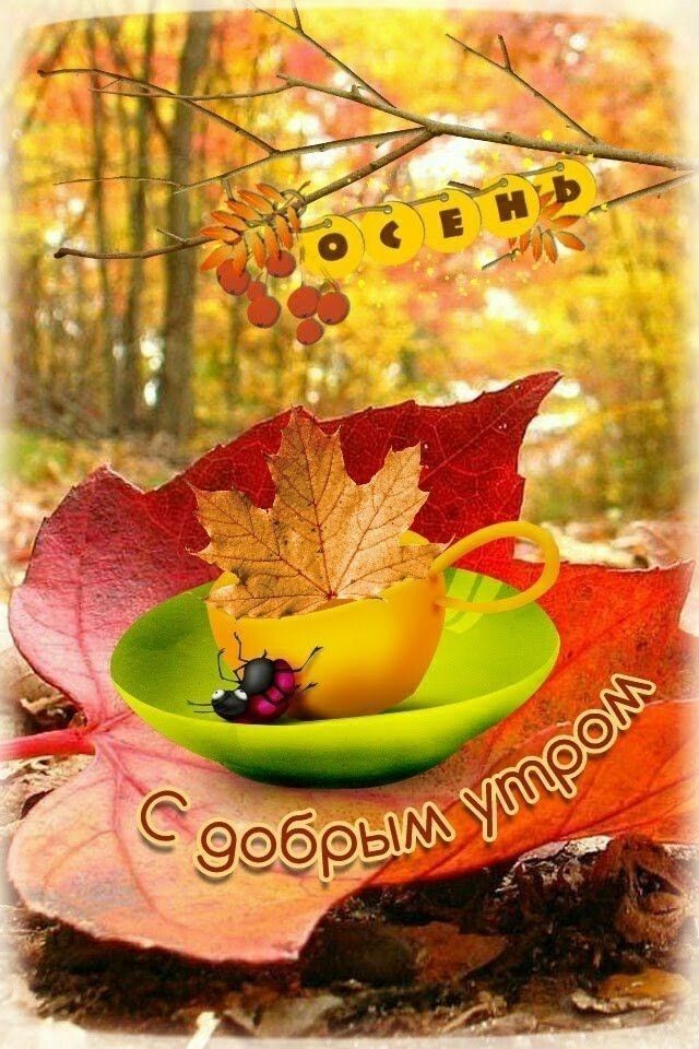 С добрым утром четверга ! Осеннего настроения! Хорошего дня!
