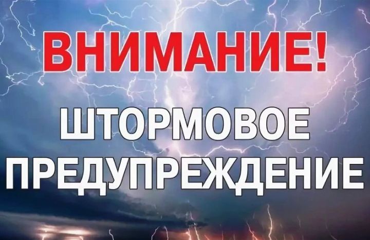 МЧС Татарстана напоминает о мерах безопасности во время штормового ветра