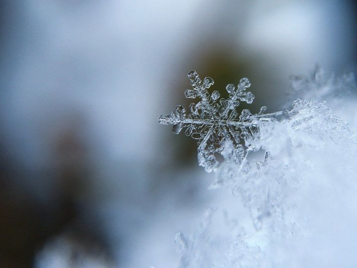 Простое средство, которое поможет справиться со льдом на стеклах автомобиля.