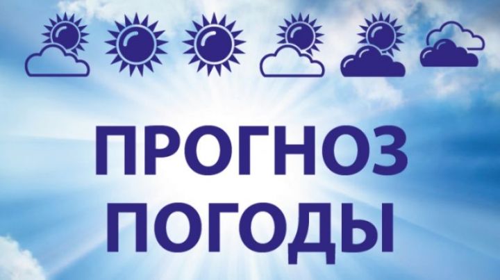 Прогноз погоды от ЕДДС на 27 ноября 2019 года