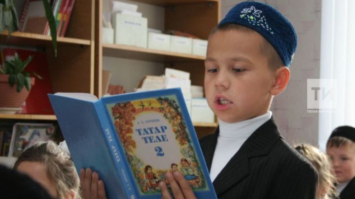 В Татарстане разработаны программы по родному татарскому языку и литературе для школ