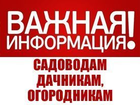 О законе для дачников и садоводов