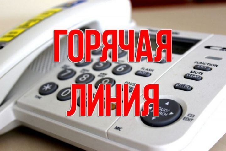 Росреестр Татарстана проведет «горячую линию» по вопросам завершающейся «дачной амнистии»