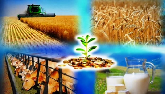 В Татарстане объемы грантовой поддержки фермеров и кооперативов увеличились на 67,2%