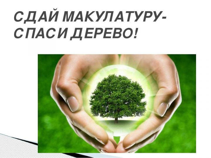 "Спасая тысячи деревьев"