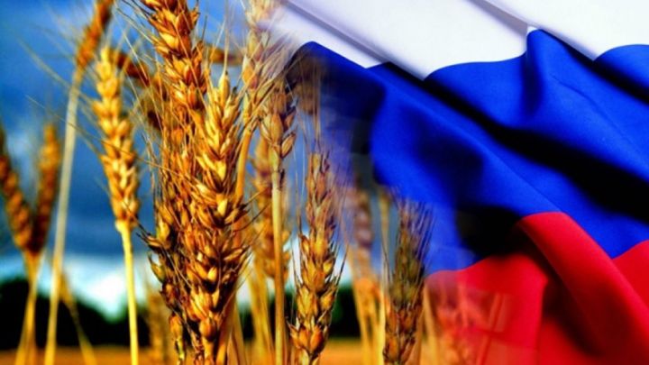 Экспорт сельхозпродукции из России за год увеличился на 20%