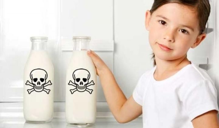 В России хотят полностью запретить содержание антибиотиков в молочной продукции