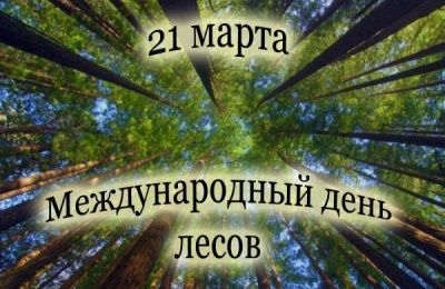 21 марта - Международный день лесов.