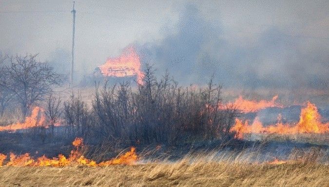 Весенние палы травы: традиция, ведущая к трагедии