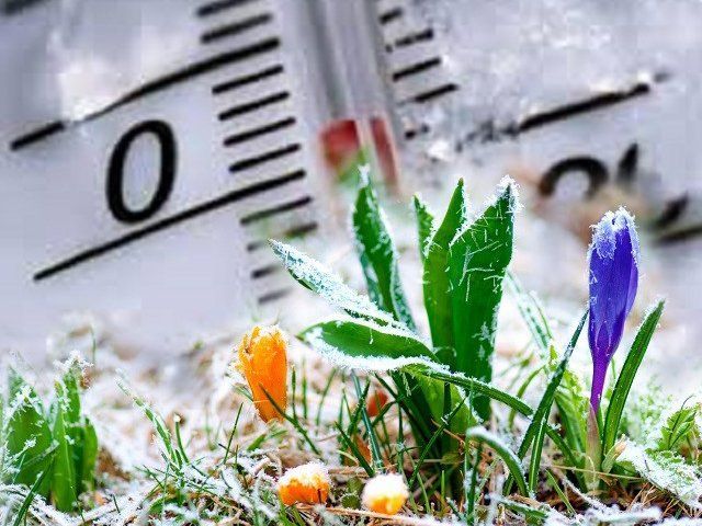 Пасха в России обещает быть холодной: Гидрометцентр предсказывает весенние заморозки