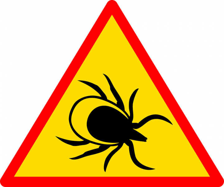 Роспотребнадзор напомнил, как защититься от клещей