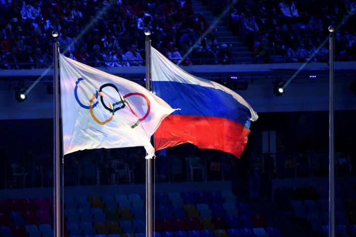 Объем финансирования спортивных федераций России будет зависеть от их эффективности