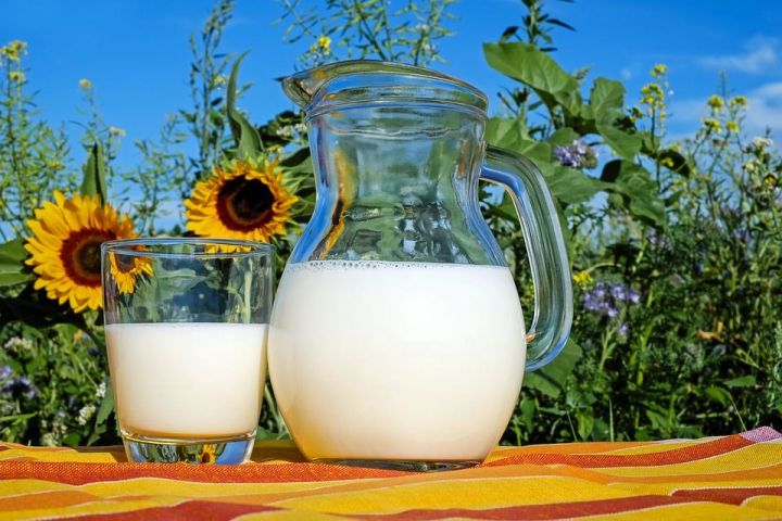 19 тонн токсичного молока изъял Роспотребнадзор из магазинов России