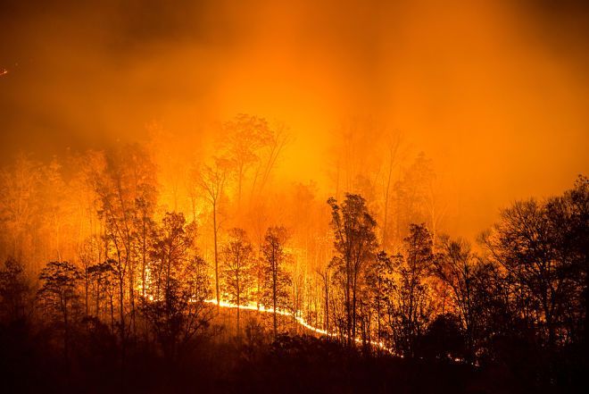 Пожары в Сибири становятся катастрофой планетарного масштаба